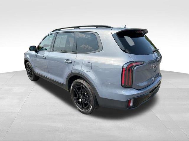 2024 Kia Telluride Vehicle Photo in MEDINA, OH 44256-9631