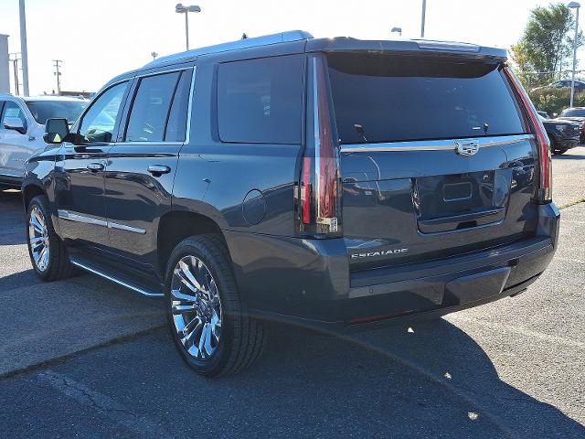 2020 Cadillac Escalade Vehicle Photo in HARRISBURG, PA 17111-1033