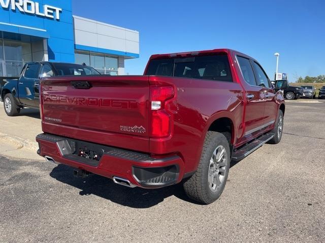 2025 Chevrolet Silverado 1500 Vehicle Photo in GLENWOOD, MN 56334-1123