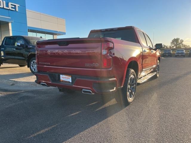 2025 Chevrolet Silverado 1500 Vehicle Photo in GLENWOOD, MN 56334-1123