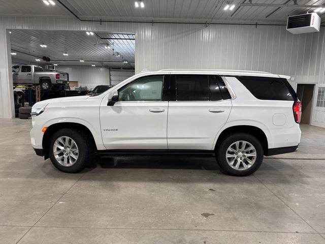 2023 Chevrolet Tahoe Vehicle Photo in GLENWOOD, MN 56334-1123