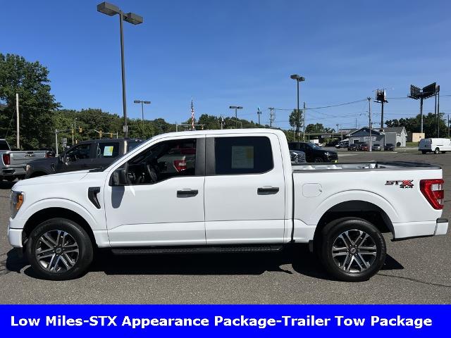 2021 Ford F-150 Vehicle Photo in CHICOPEE, MA 01020-5001