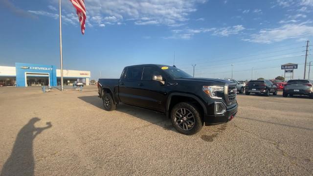 2021 GMC Sierra 1500 Vehicle Photo in PONCA CITY, OK 74601-1036