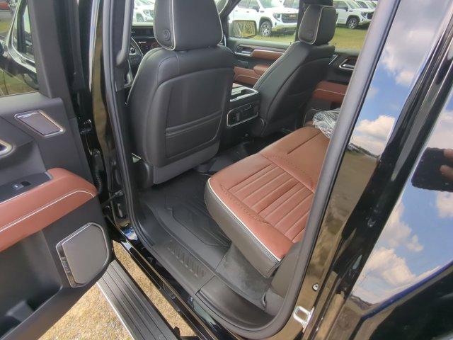 2025 GMC Sierra 1500 Vehicle Photo in ALBERTVILLE, AL 35950-0246