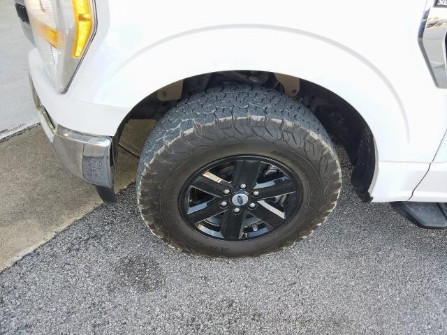 2022 Ford F-150 Vehicle Photo in Ennis, TX 75119-5114