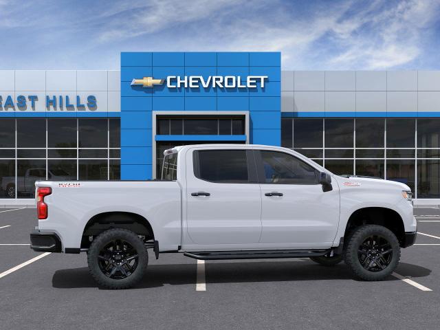 2024 Chevrolet Silverado 1500 Vehicle Photo in DOUGLASTON, NY 11362-1062