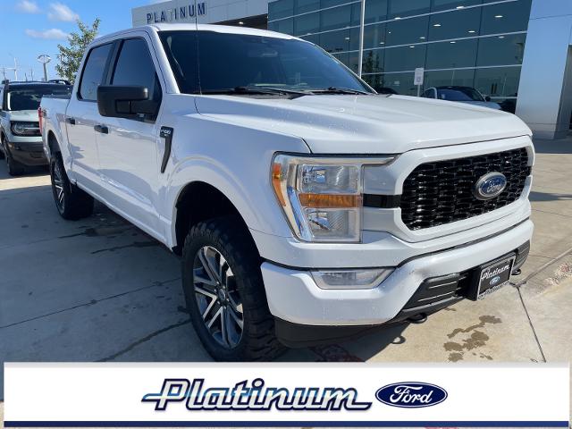 2021 Ford F-150 Vehicle Photo in Terrell, TX 75160