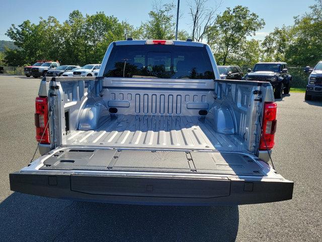 2021 Ford F-150 Vehicle Photo in Boyertown, PA 19512