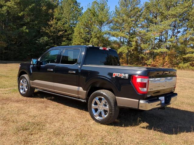 2021 Ford F-150 Vehicle Photo in ALBERTVILLE, AL 35950-0246