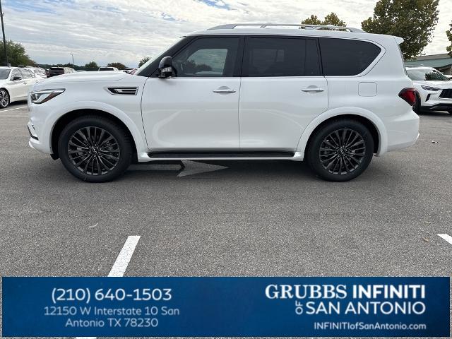 2024 INFINITI QX80 Vehicle Photo in San Antonio, TX 78230