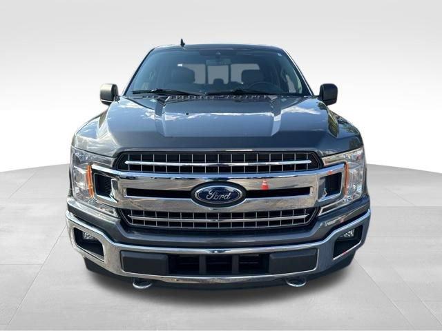 2019 Ford F-150 Vehicle Photo in MEDINA, OH 44256-9631