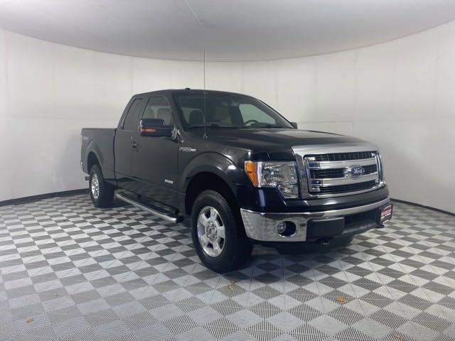 2014 Ford F-150 Vehicle Photo in MEDINA, OH 44256-9001