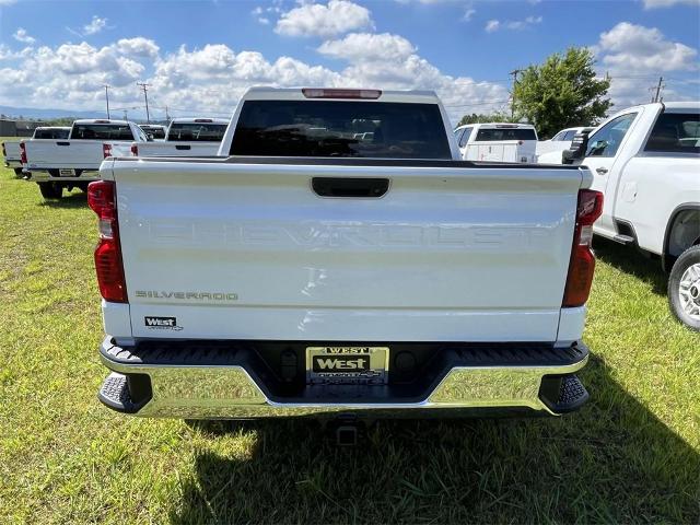 2024 Chevrolet Silverado 1500 Vehicle Photo in ALCOA, TN 37701-3235