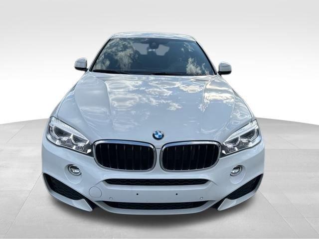 2018 BMW X6 Vehicle Photo in MEDINA, OH 44256-9631