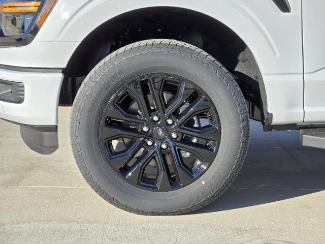 2024 Ford F-150 Vehicle Photo in STEPHENVILLE, TX 76401-3713