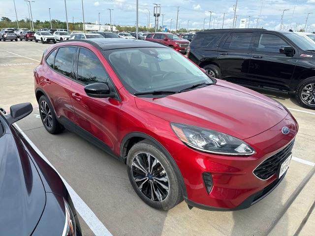 2022 Ford Escape Vehicle Photo in TERRELL, TX 75160-3007