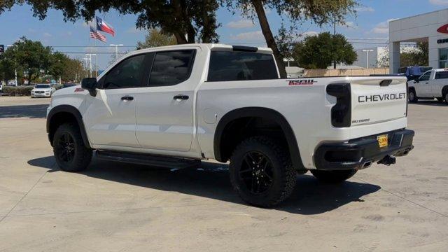 2019 Chevrolet Silverado 1500 Vehicle Photo in SELMA, TX 78154-1460