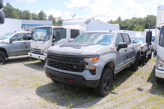 2024 Chevrolet Silverado 1500 Vehicle Photo in MONTICELLO, NY 12701-3853