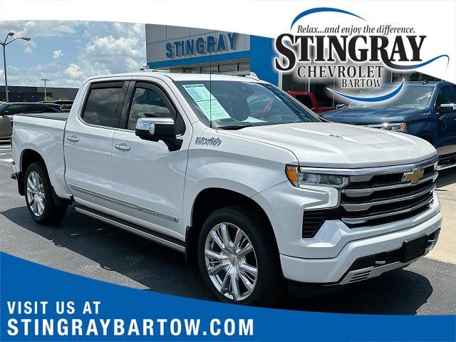 2023 Chevrolet Silverado 1500 Vehicle Photo in BARTOW, FL 33830-4397