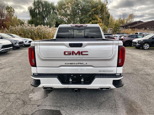 2024 GMC Sierra 1500 Vehicle Photo in WILLIAMSVILLE, NY 14221-2883