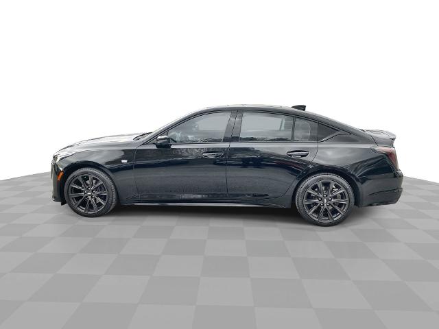 2021 Cadillac CT5 Vehicle Photo in WILLIAMSVILLE, NY 14221-2883