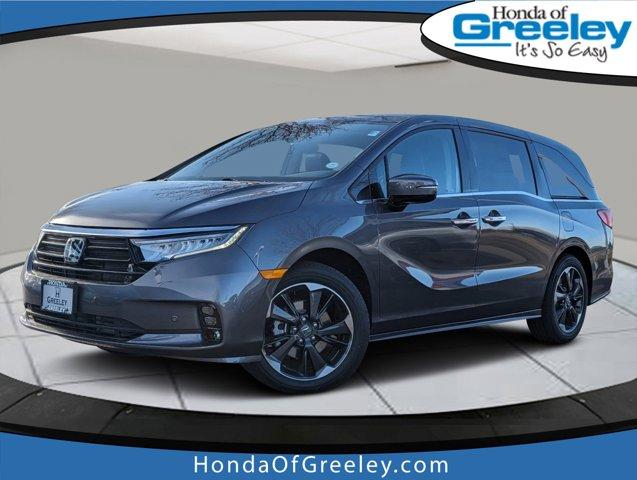 2024 Honda Odyssey Vehicle Photo in Greeley, CO 80634-8763