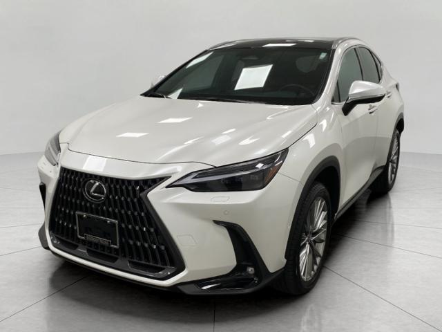 2024 Lexus NX 350h Vehicle Photo in Appleton, WI 54913