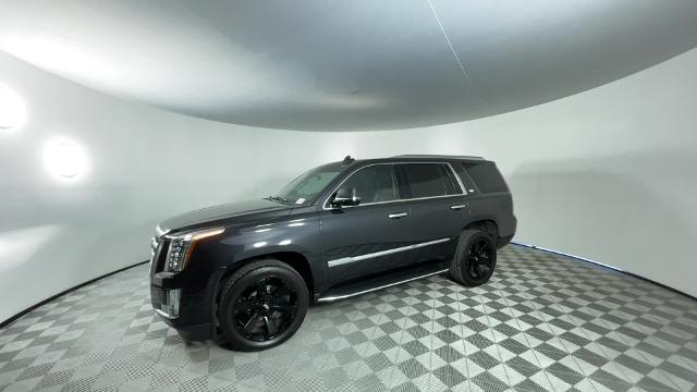 2019 Cadillac Escalade Vehicle Photo in GILBERT, AZ 85297-0402