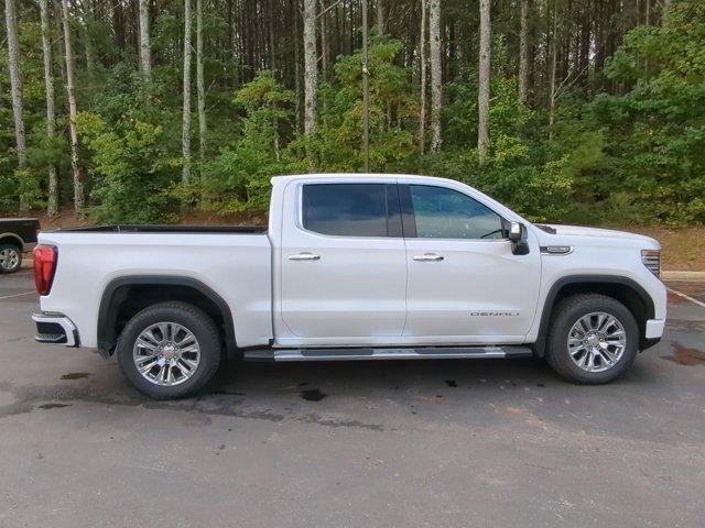 2025 GMC Sierra 1500 Vehicle Photo in ALBERTVILLE, AL 35950-0246