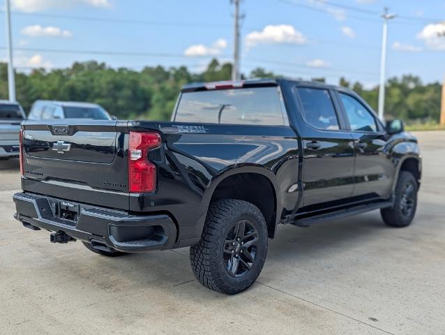 2024 Chevrolet Silverado 1500 Vehicle Photo in POMEROY, OH 45769-1023