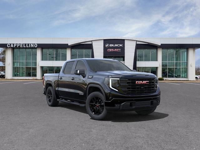 2025 GMC Sierra 1500 Vehicle Photo in WILLIAMSVILLE, NY 14221-2883