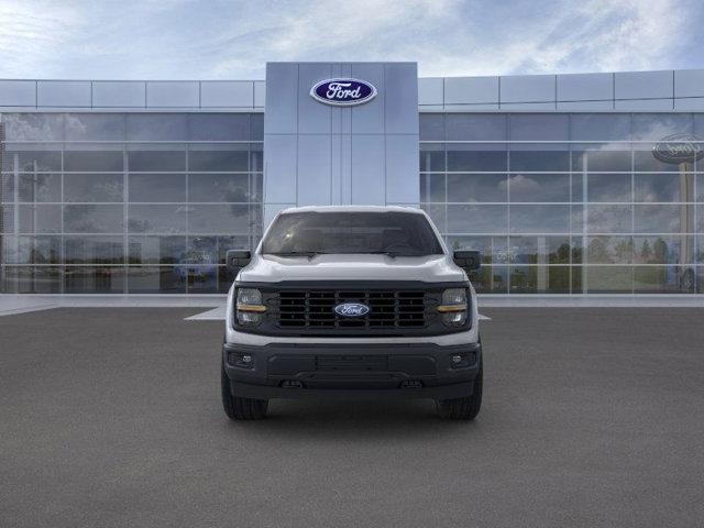 2024 Ford F-150 Vehicle Photo in Boyertown, PA 19512