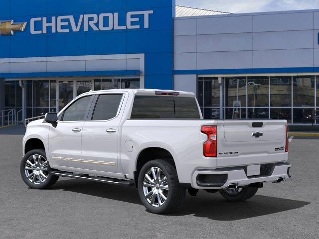 2025 Chevrolet Silverado 1500 Vehicle Photo in HOUSTON, TX 77054-4802