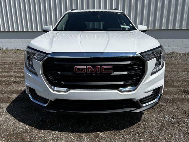 2024 GMC Terrain Vehicle Photo in JACKSON, MI 49202-1834