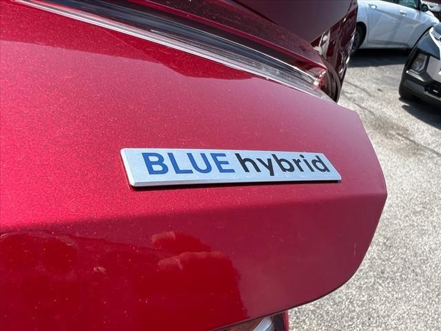 2024 Hyundai ELANTRA Hybrid Vehicle Photo in O'Fallon, IL 62269