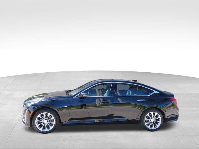 2023 Cadillac CT5 Vehicle Photo in DELRAY BEACH, FL 33483-3294