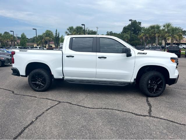 2024 Chevrolet Silverado 1500 Vehicle Photo in POOLER, GA 31322-3252