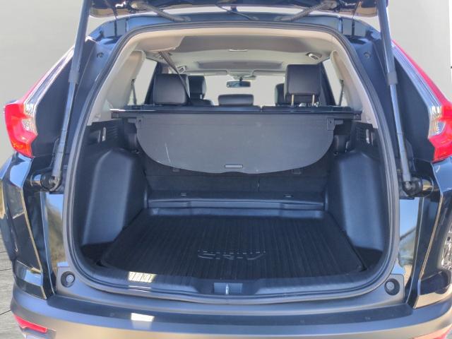 2017 Honda CR-V Vehicle Photo in Green Bay, WI 54304