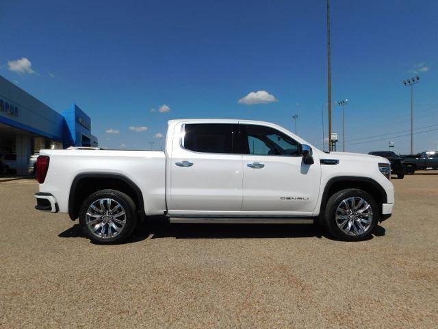 2025 GMC Sierra 1500 Vehicle Photo in Weatherford, TX 76087