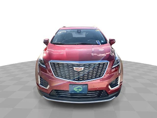 2024 Cadillac XT5 Vehicle Photo in WILLIAMSVILLE, NY 14221-2883