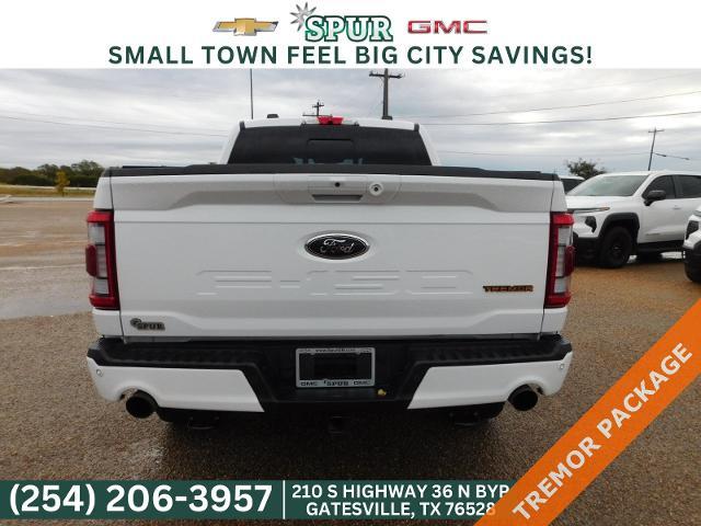 2023 Ford F-150 Vehicle Photo in GATESVILLE, TX 76528-2745