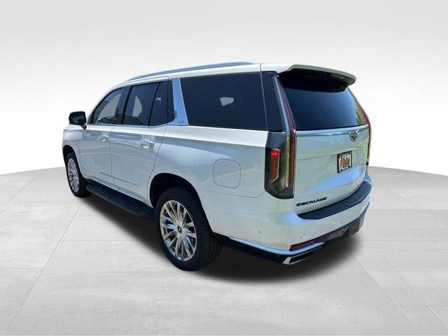 2022 Cadillac Escalade Vehicle Photo in MEDINA, OH 44256-9631