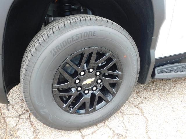 2024 Chevrolet Silverado EV Vehicle Photo in GATESVILLE, TX 76528-2745