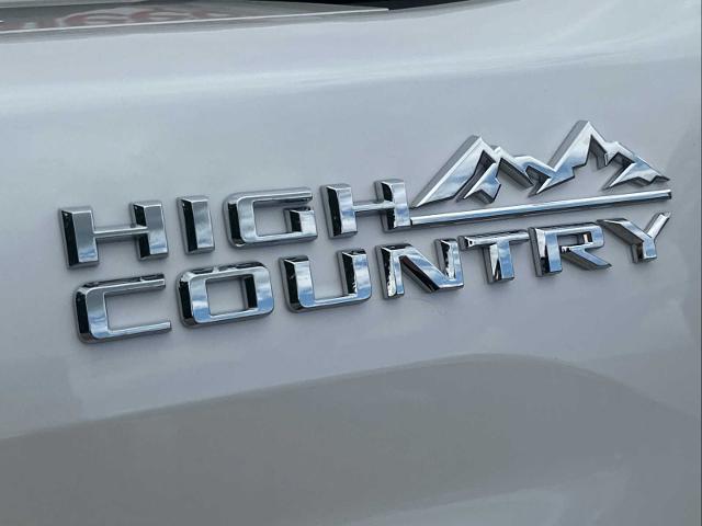 2025 Chevrolet Silverado 2500 HD Vehicle Photo in DUNN, NC 28334-8900