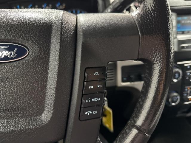 2014 Ford F-150 Vehicle Photo in GLENWOOD, MN 56334-1123