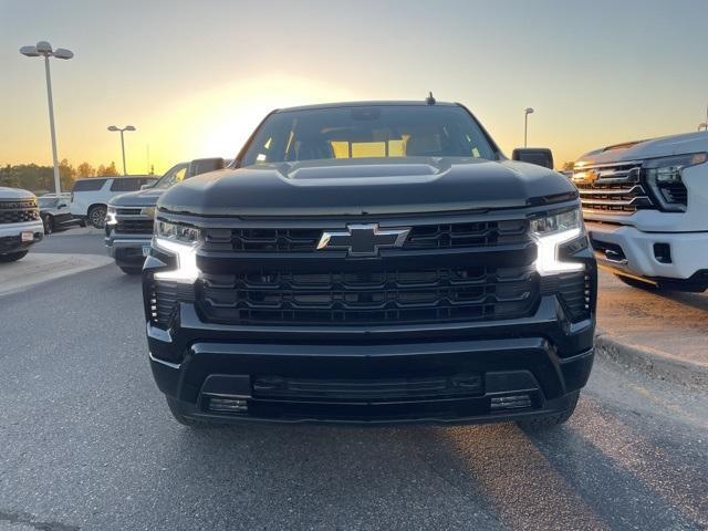 2025 Chevrolet Silverado 1500 Vehicle Photo in GLENWOOD, MN 56334-1123