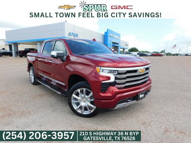 2024 Chevrolet Silverado 1500 Vehicle Photo in GATESVILLE, TX 76528-2745