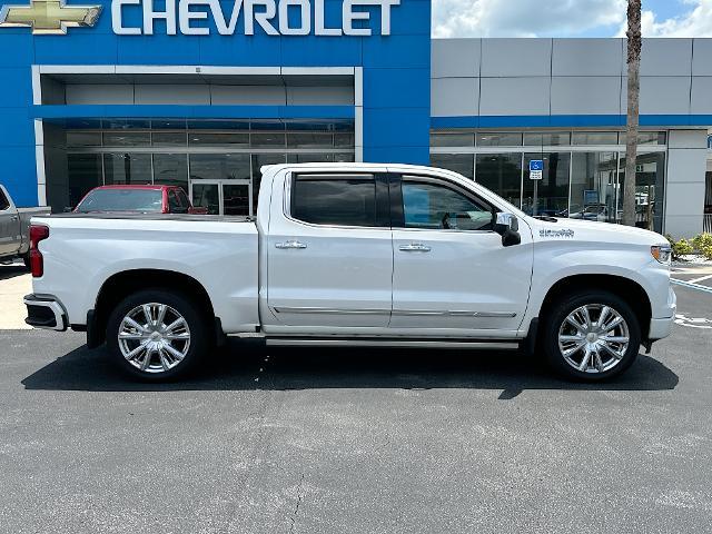 2023 Chevrolet Silverado 1500 Vehicle Photo in BARTOW, FL 33830-4397