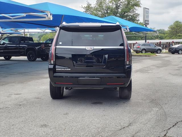 2019 Cadillac Escalade Vehicle Photo in Denton, TX 76205