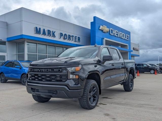 2025 Chevrolet Silverado 1500 Vehicle Photo in POMEROY, OH 45769-1023